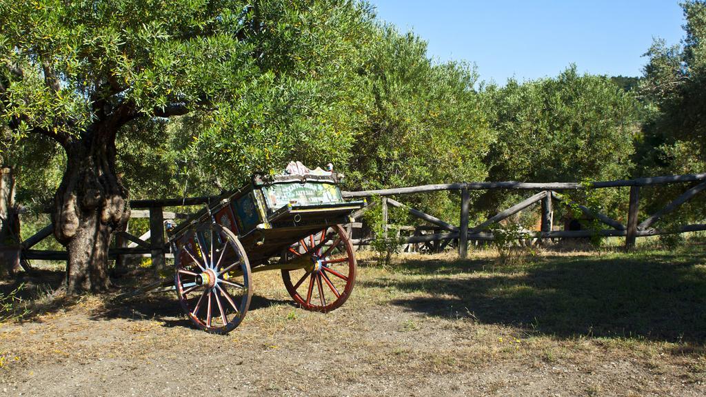 Petrino Spiti Βίλα Παρθενώνας Εξωτερικό φωτογραφία