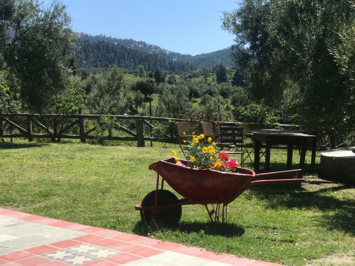 Petrino Spiti Βίλα Παρθενώνας Εξωτερικό φωτογραφία